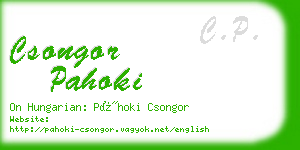 csongor pahoki business card